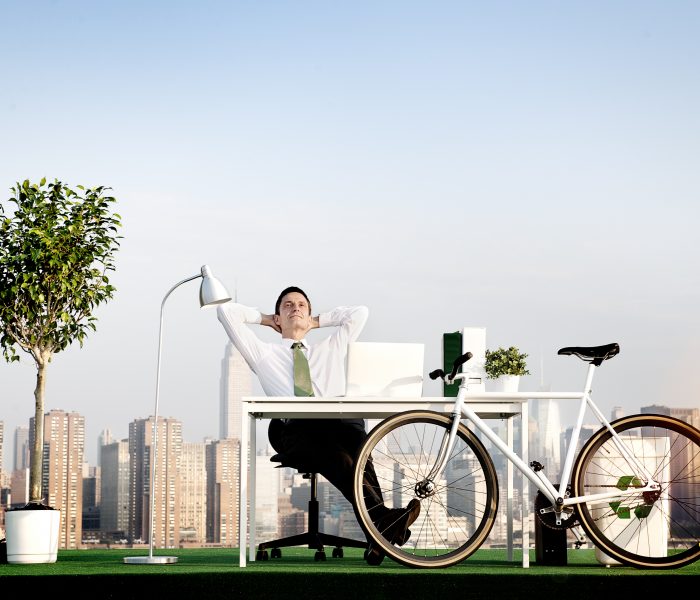 COMMERCIAL CONSULTATION